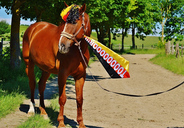目标的能力 目标的能力