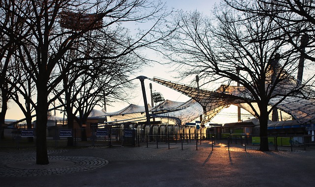 和球員的一 和球員的一