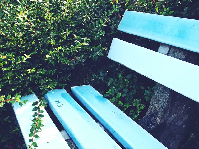 疑为比利时 疑为比利时