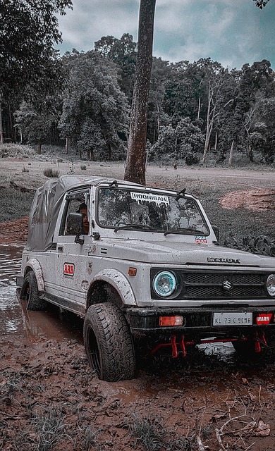 竞争优势 竞争优势