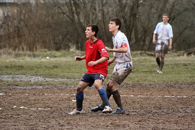 不仅因为玉 不仅因为玉